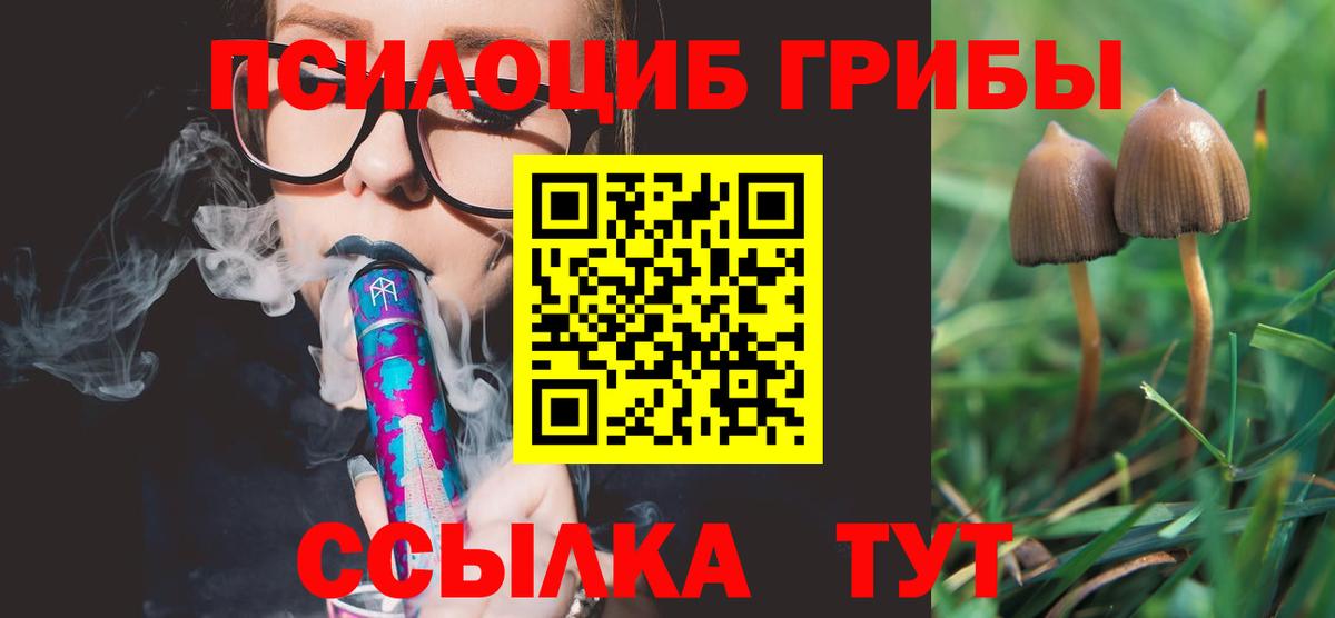 Чебаркуль  Галлюциногенные грибы Psilocybe  Вход с VPN 